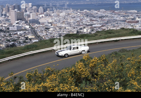 Car, Ford Mustang Shelby GT, model year 1967, Coupé, Coupe, white-blue, vintage car, 1960s, sixties, summer, landscape, scenery, Stock Photo