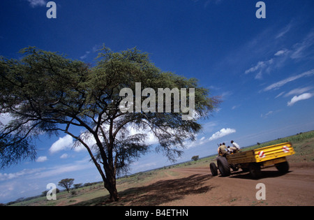Rural landscape view with dirt track and men on tractor trailer, Uganda, Africa Stock Photo
