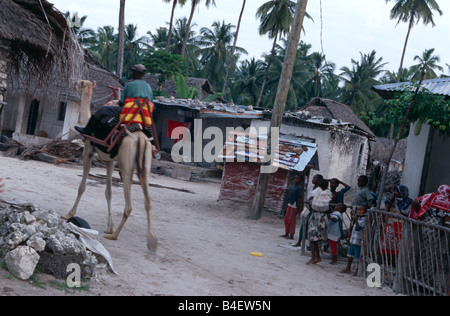 Camel rider passing through village with curious children standing by watching. Zanzibar. Stock Photo