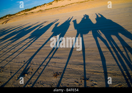 Shadows of camel riding tour on the sand at sunset on Cable Beach Broome Western Australia Stock Photo