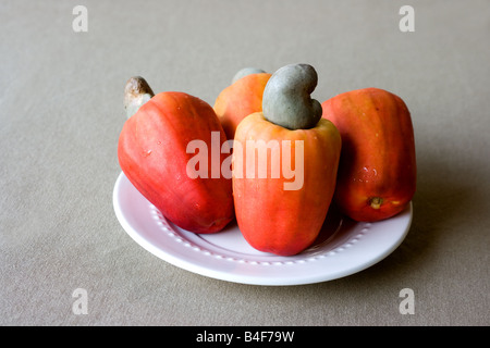 Cashew fruit and nut on a white porcelain saucer Stock Photo