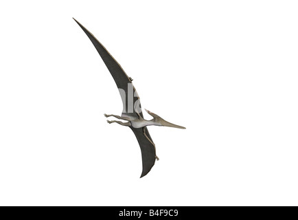 Pterodactyl Or Pteranodon Flying Over The Ocean Stock Photo, Picture and  Royalty Free Image. Image 9183984.