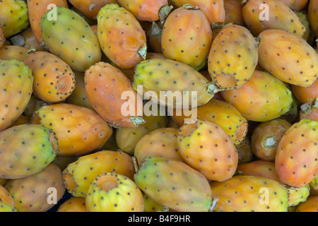 Indian Fig Stock Photo