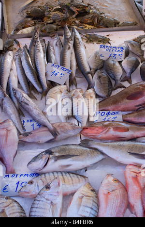 Fresh White Striped and Common Sea Bream with Mackerel Fish and Crabs For Sale at Lavrion Market Greek Mainland Aegean Greece Stock Photo