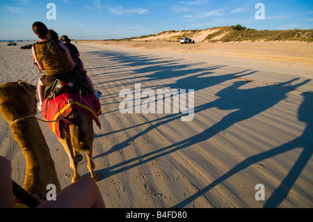 Shadows of camel riding tour at sunset on Cable Beach Broome Western Australia Stock Photo