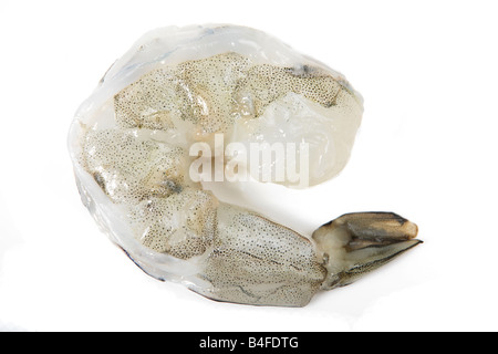 A single raw prawn over a white background Stock Photo