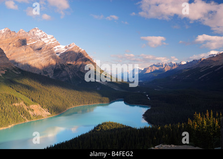 Peyto Lake in Banff National Park, Canadian Rockies Stock Photo