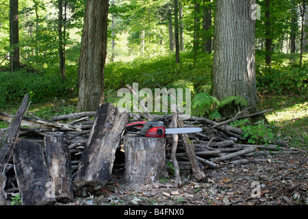 Chain saw on stump waiting to saw up firewood Stock Photo