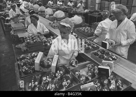 Cadburys Contrast Easter Eggs December 1966 Ladies working on the Factory Production Line wearing protective overalls preparing Stock Photo