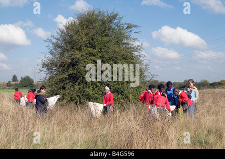 UK- Habitat studies and conservation projects for schoolchildren at Lee Valley nature reserve in London Photo © Julio Etchart Stock Photo