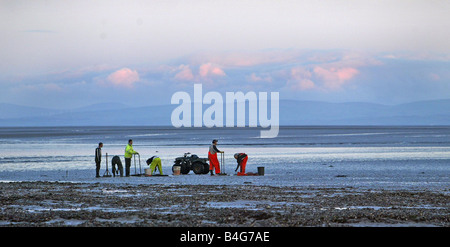 Cockle fishers return to the deadly Morecambe bay cockle beds Over 300 cocklers took to the sands at Fleetwood after the ban was lifted over a year after the tragic deaths of a band of Chinese cocklers who drown after being caught out by the tide Stock Photo