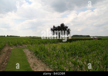 View of the small Munich Trench British CWGC Cemetery in fields close to Beaumont-Hamel, France. Stock Photo