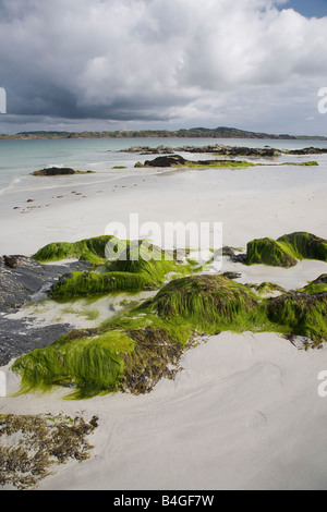 Beach Iona Scotland Stock Photo