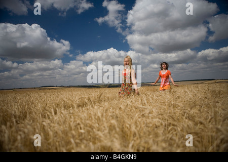 Children playing in corn field Stock Photo - Alamy