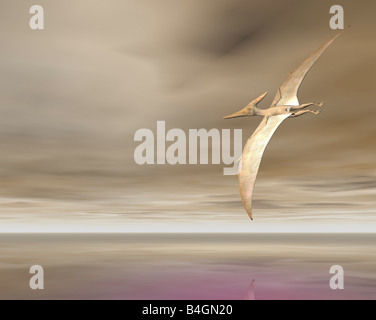 Pterodactyl Or Pteranodon Flying Over The Ocean Stock Photo, Picture and  Royalty Free Image. Image 9183984.