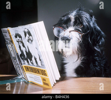 Ben the obedient dog reading a book February 1976 Stock Photo
