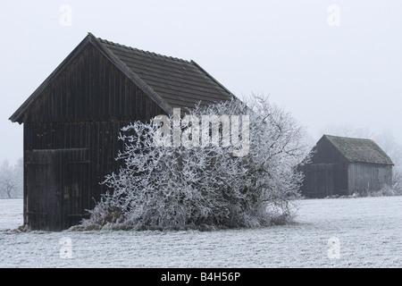 Log cabins on polar landscape Stock Photo