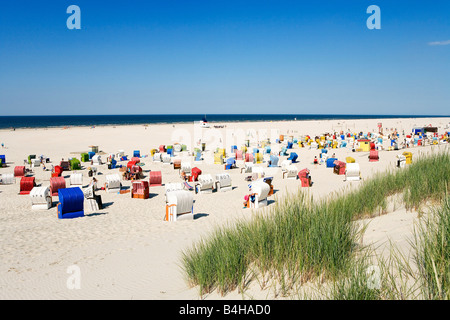 Marram grass and empty hooded beach chairs on beach Juist Lower Saxony Germany Stock Photo