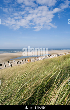 Tall grasses swaying in wind on beach, Spiekeroog, Frisian Islands, Germany Stock Photo