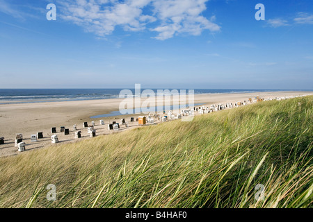 Tall grasses swaying in wind on beach, Spiekeroog, Lower Saxony, Germany Stock Photo