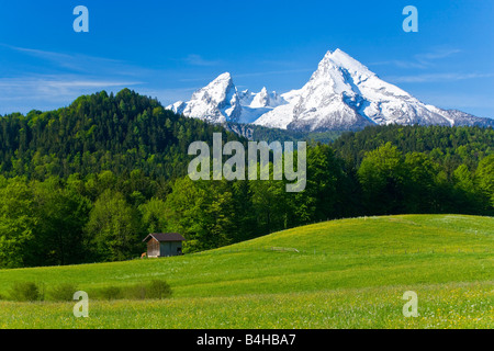 Log cabin in field, Watzmann, Berchtesgaden Alps, Bavaria, Germany Stock Photo