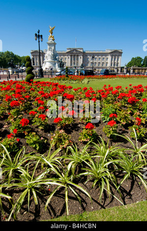 Flowers blooming in garden with palace in background Buckingham Palace City Of Westminster London England