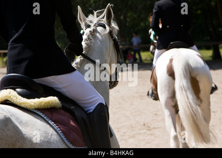 beautiful two horses riding during horse jumping contest Stock Photo