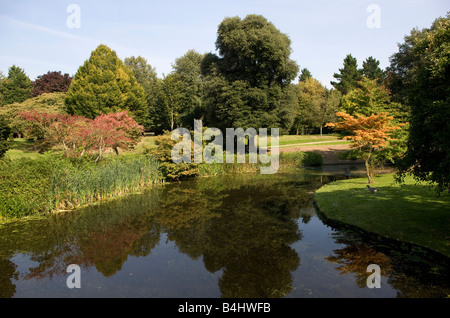 Syon House Park Gardens London England Stock Photo