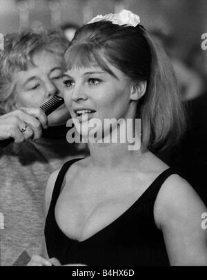 Julie Christie British actress having hair combed 1964 Stock Photo