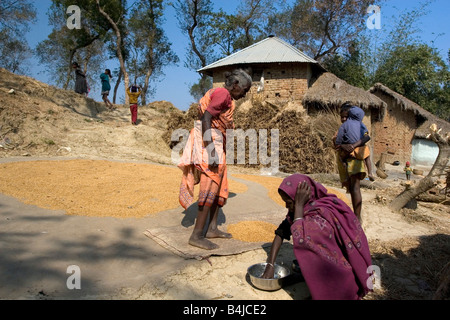 Daily life of village people of Santhal tribal community Stock Photo