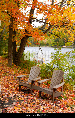 Two empty chairs in beautiful autumn nature Stock Photo
