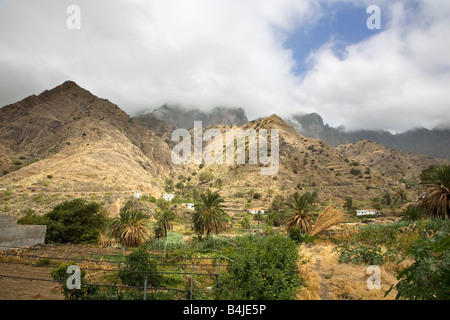 Mountain terraces of palm trees on the island of La Gomera La Gomera is situated very close to Tenerife and is one of the Canary Stock Photo