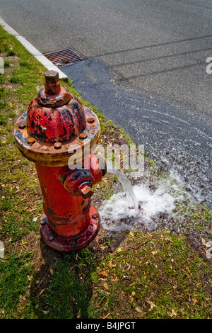 Water pours from a red fire hydrant during spring flush out by the fire department in Winchester MA Stock Photo