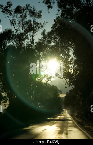 Rural Landscape seen from a moving car Stock Photo