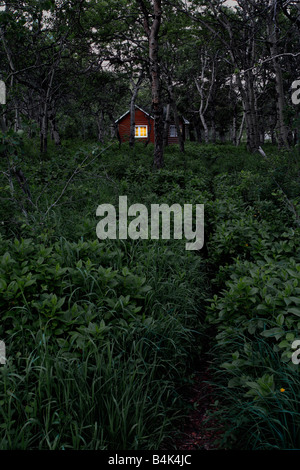 Cabin in forest at night with lighted window Stock Photo