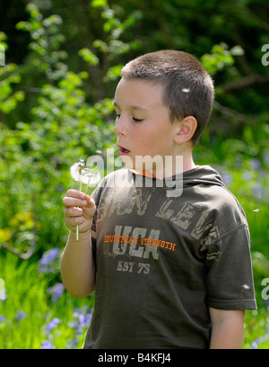 Young boy blowing a dandelion clock Stock Photo