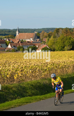 Boussay village church and sunflowers, Indre-et-Loire, France. Stock Photo