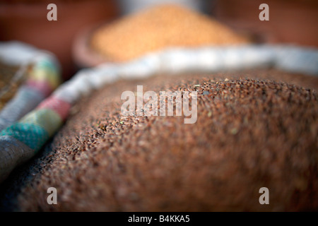 Teff seed on sale at Shola Market, Addis Ababa, Ethiopia Stock Photo