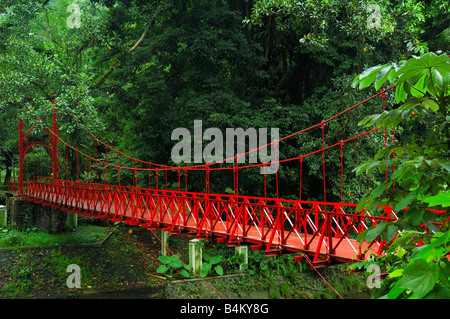 hanging bridge in the Bogor Botanic Gardens with trees around at daylight Stock Photo