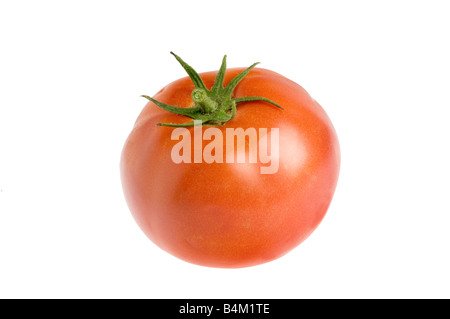 single organic fresh tomato Stock Photo
