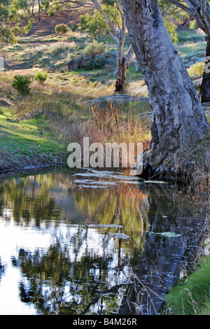 Mannum Falls South Australia Stock Photo