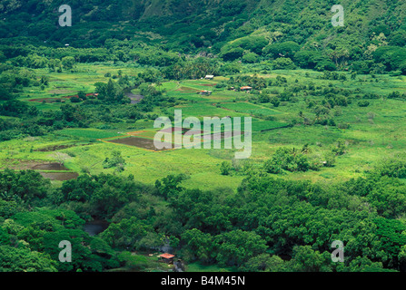 Taro fields and farm houses in Waipio Valley Hamakua Coast The Big Island Hawaii Stock Photo