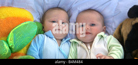 Two baby boys twin brothers Stock Photo