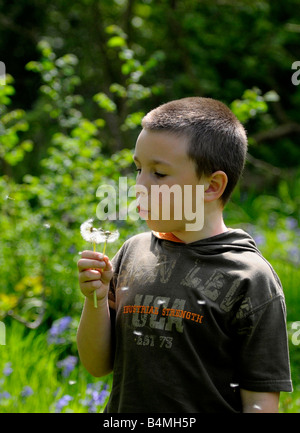 Young boy blowing a dandelion clock Stock Photo