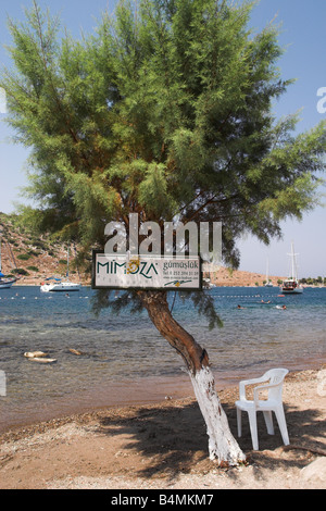 Sign on tree beside the sea advertising Mimoza restaurant in Gumusluk, Turkey Stock Photo