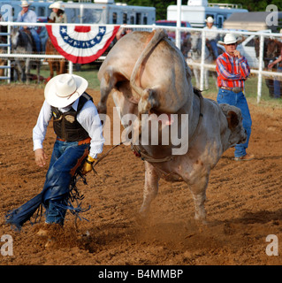 A bullrider about to get kicked (but he doesn't, the bull and cowboy are going in different directions) Stock Photo