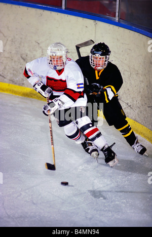 Ice hockey players in action, Stock Photo