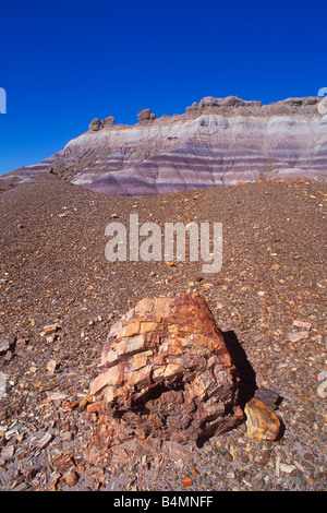 Morning light on colorful strata and petrified log sections on Blue Mesa Petrified Forest National Park Arizona Stock Photo