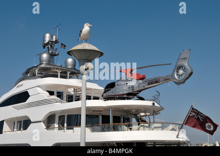 Seagull taking a break on top of lamppost - behind extraordinary yacht Attessa Stock Photo