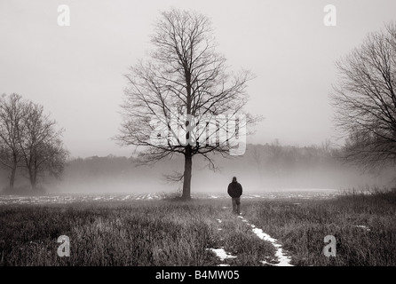 Dreamy image of a shadowy man walking in the mist near a large tree Stock Photo